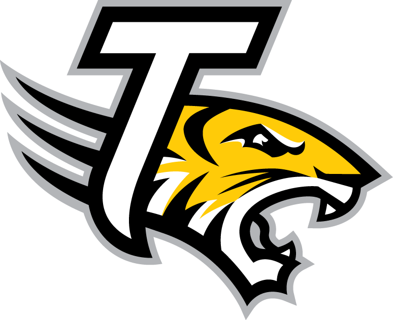 Towson Tigers 2004-Pres Alternate Logo v5 iron on transfers for fabric